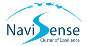 Logo_NaviSense_UOL