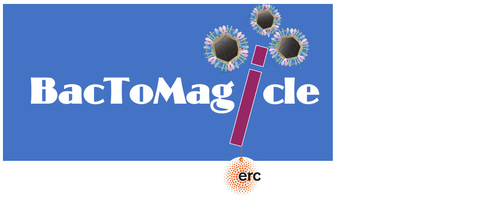 Logo BacToMagicle