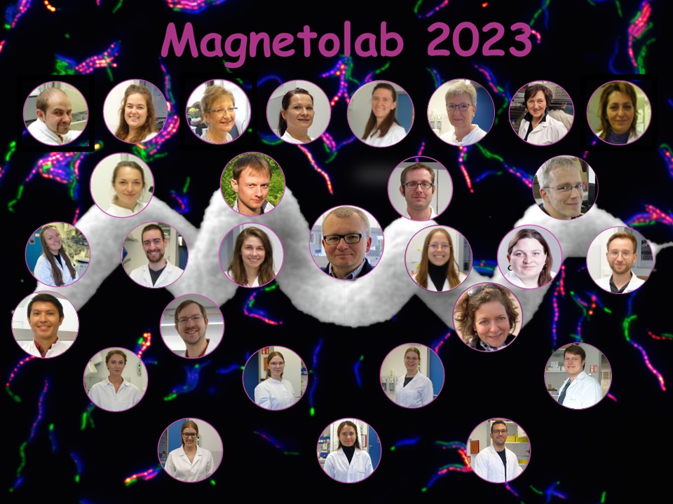 Gruppenfoto digital Lehrstuhl Mikrobiologie 2023