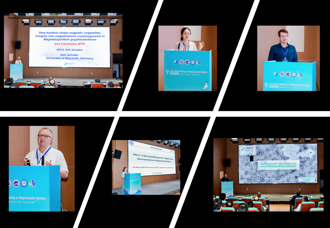 MTB2026_UBT_presentations
