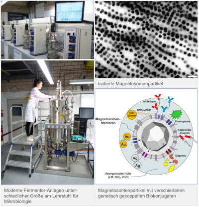 Funktionalisierte magnetische Nanopartikel